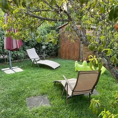 G55c Rosamarina Rosa Marina